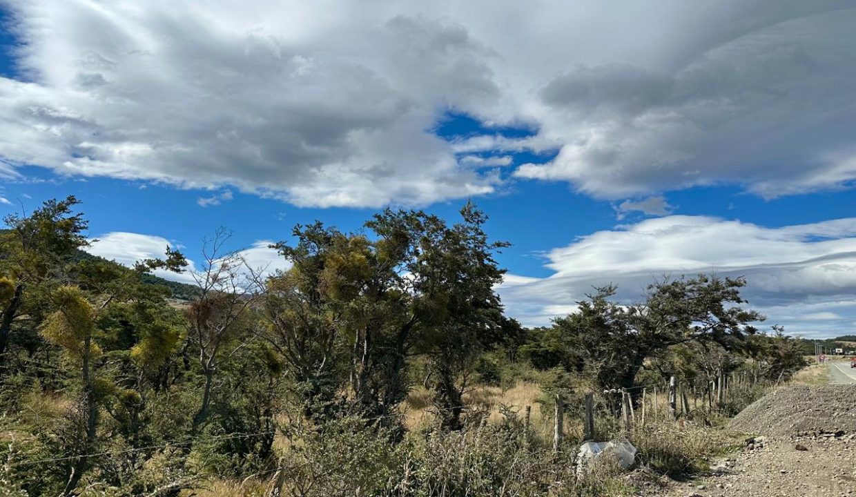 WhatsApp Image 2026-02-09 at 7.00.36 PM (14)