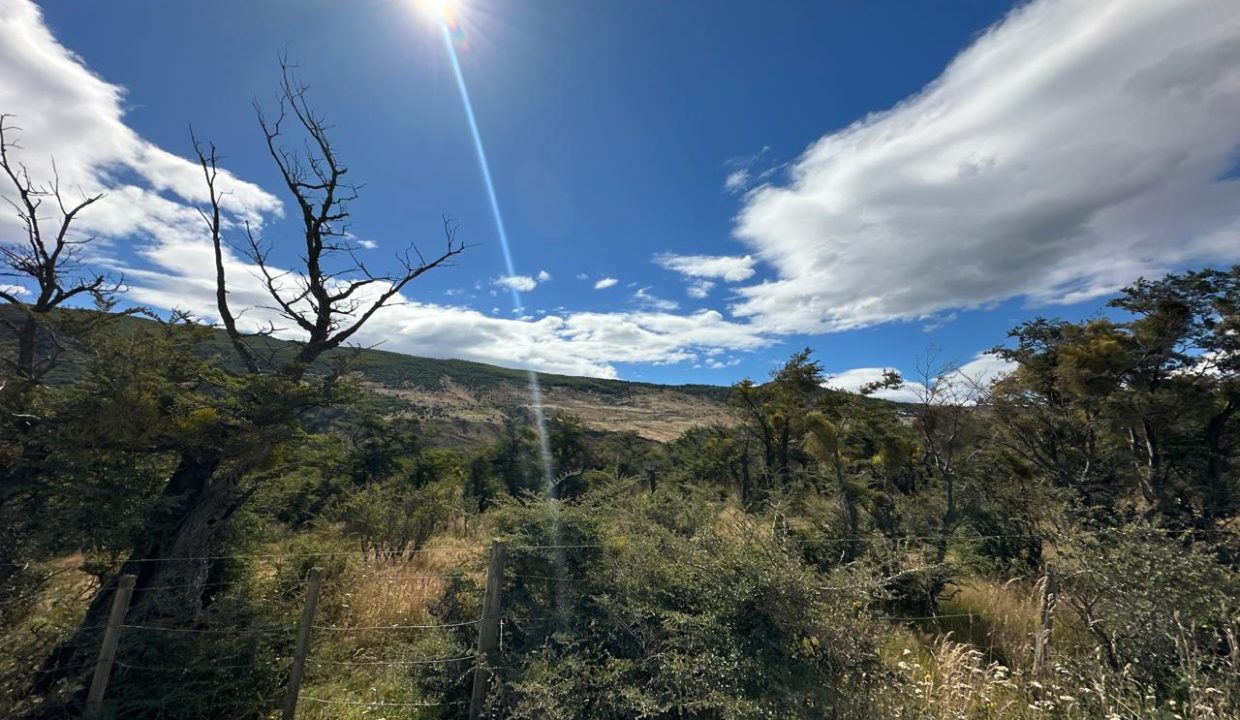 WhatsApp Image 2026-02-09 at 7.00.36 PM (17)