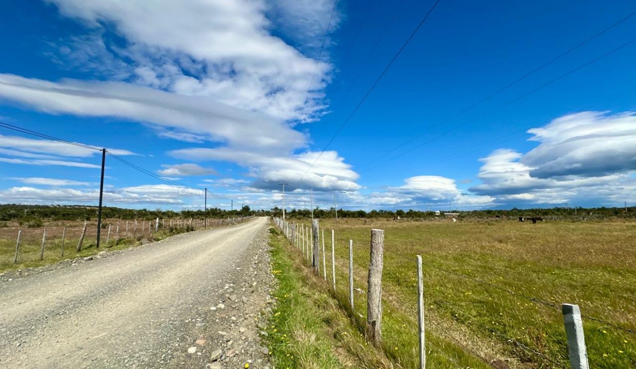 WhatsApp Image 2026-02-09 at 7.00.36 PM (2)