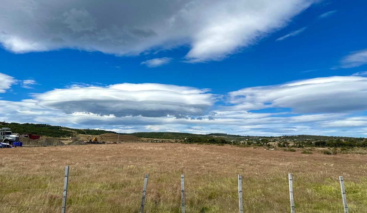 WhatsApp Image 2026-02-09 at 7.00.36 PM (4)