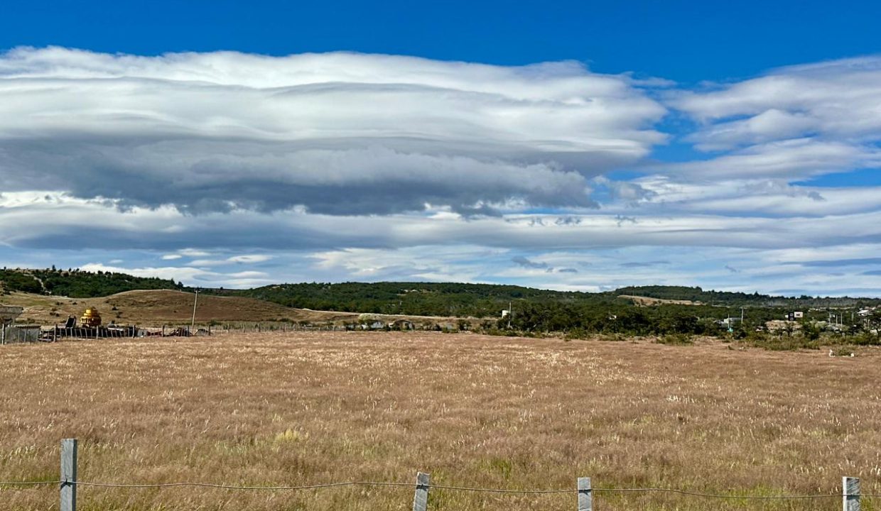 WhatsApp Image 2026-02-09 at 7.00.36 PM (9)