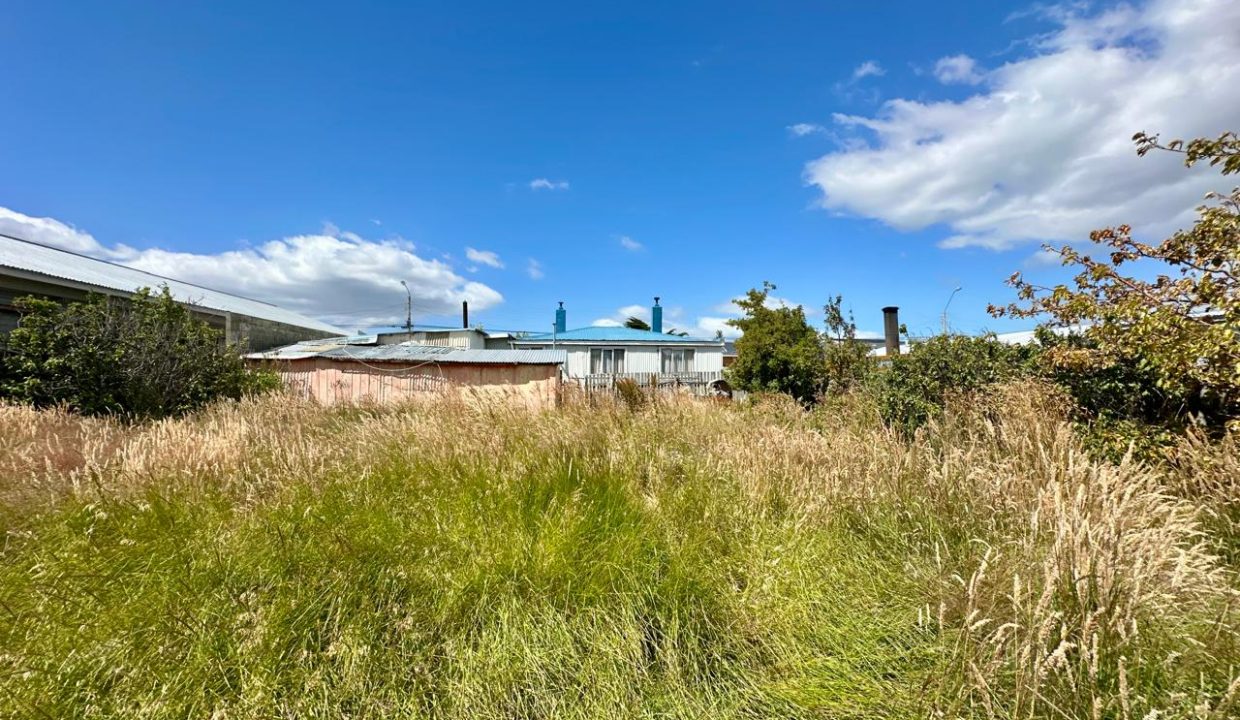 WhatsApp Image 2026-02-09 at 7.08.23 PM (2)