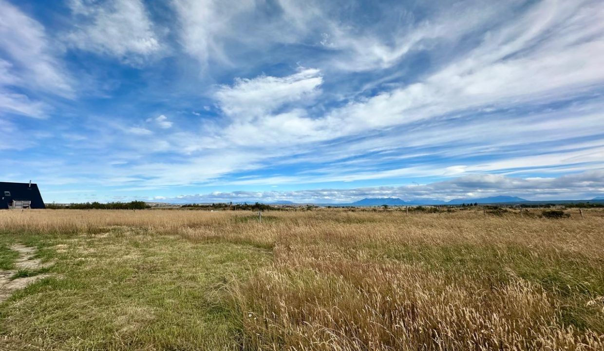 WhatsApp Image 2026-02-18 at 18.16.13 (17)