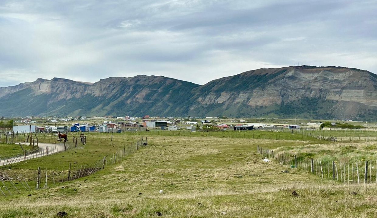 WhatsApp Image 2026-02-26 at 3.07.07 PM (1)