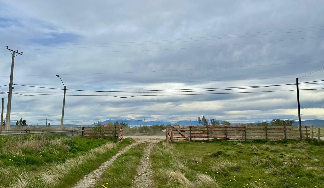 WhatsApp Image 2026-02-26 at 3.07.07 PM (10)