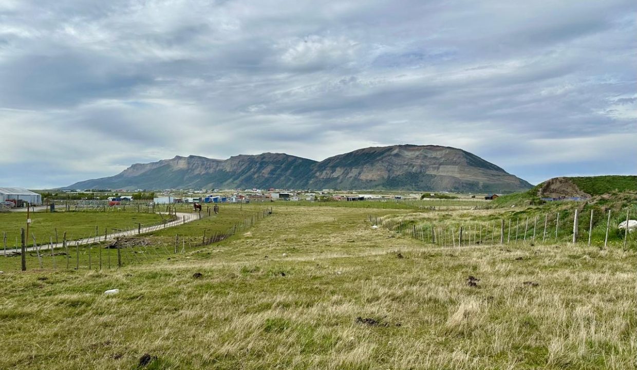 WhatsApp Image 2026-02-26 at 3.07.07 PM