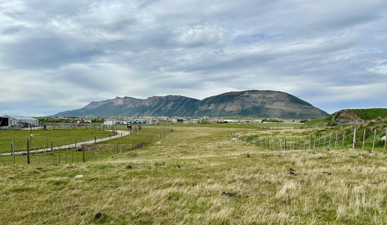 WhatsApp Image 2026-02-26 at 3.07.07 PM (2)