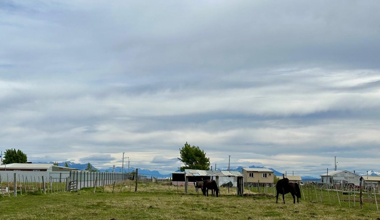 WhatsApp Image 2026-02-26 at 3.07.07 PM (4)