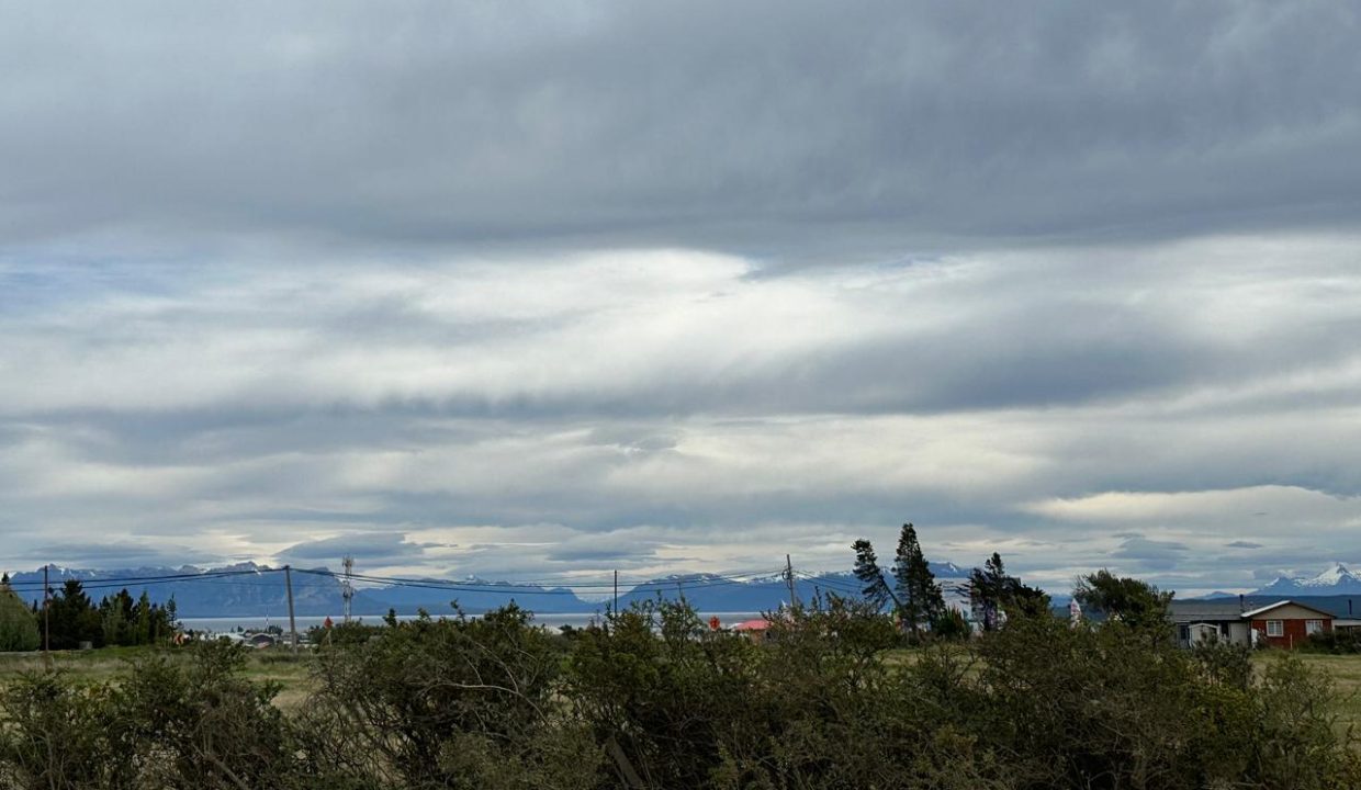 WhatsApp Image 2026-02-26 at 3.07.07 PM (7)