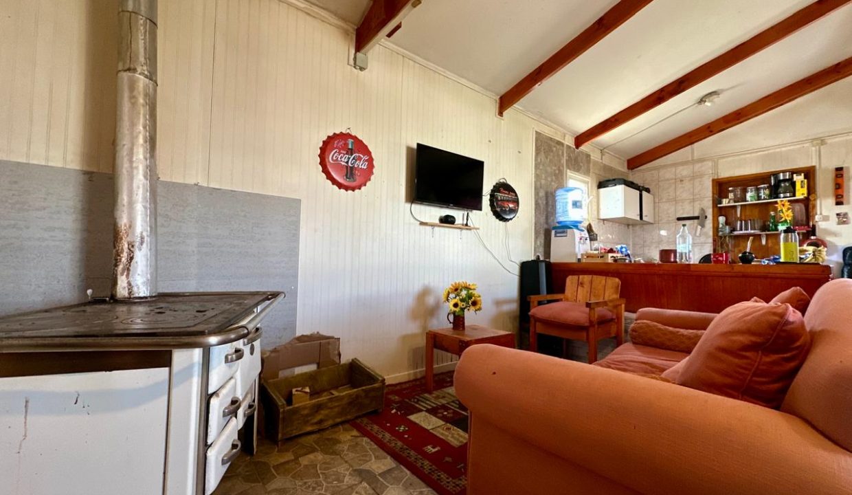 WhatsApp Image 2026-02-28 at 9.51.05 AM (4)