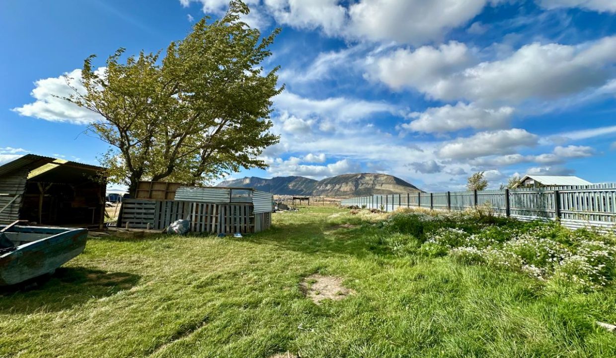 WhatsApp Image 2026-02-28 at 9.51.05 AM (7)