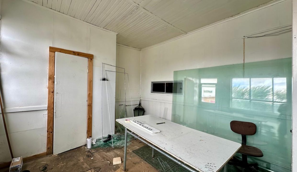 WhatsApp Image 2026-03-05 at 11.51.19 AM (1)