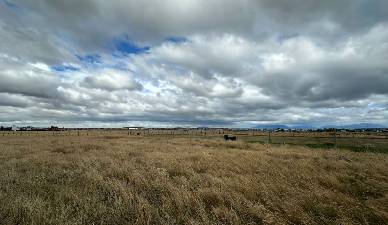 WhatsApp Image 2026-03-18 at 8.56.30 PM (1)