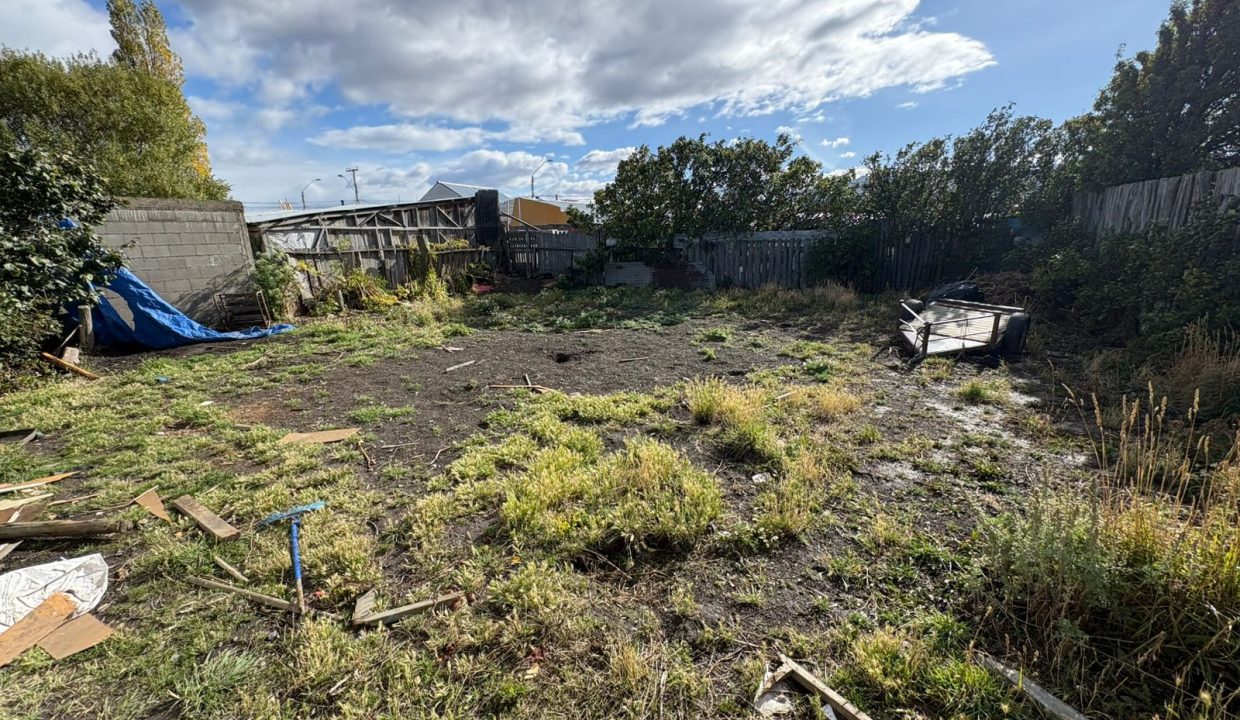 WhatsApp Image 2026-03-31 at 12.21.22 PM (1)