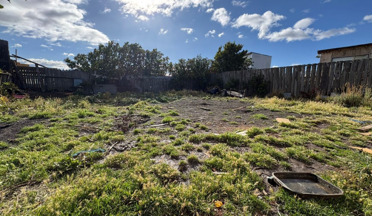 WhatsApp Image 2026-03-31 at 12.21.22 PM (2)