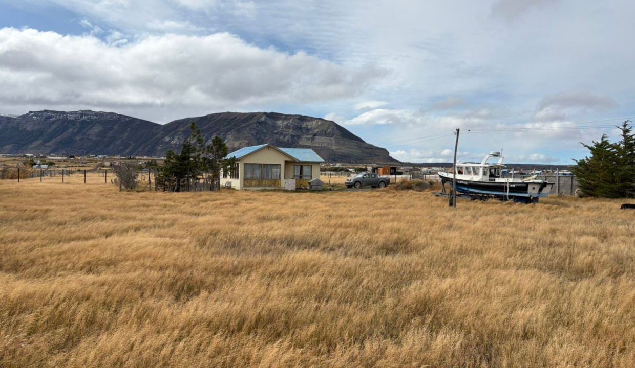 WhatsApp Image 2026-04-01 at 2.49.56 PM