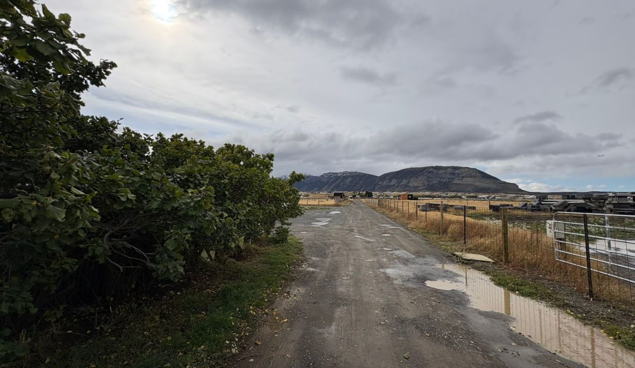 WhatsApp Image 2026-04-01 at 2.50.00 PM