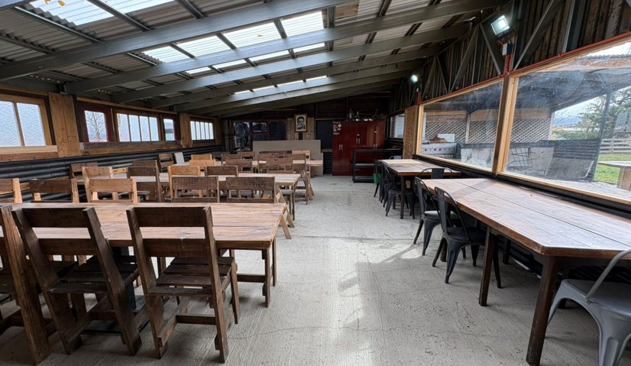 WhatsApp Image 2026-04-01 at 2.50.01 PM (3)