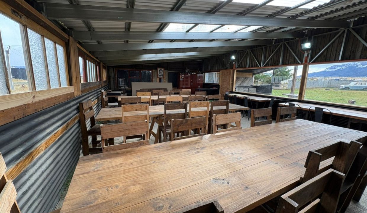 WhatsApp Image 2026-04-01 at 2.50.02 PM